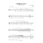 CHIEDILO AL VENTO for alto flute